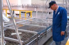 Hollander Techniek zorgt voor snelheid bij Impress Metal Packaging 